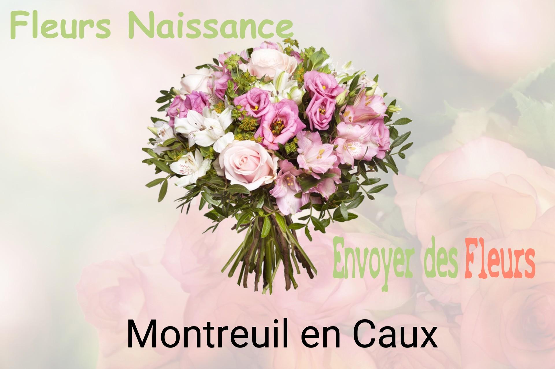 Bouquet de fleurs de naissance livré à Montreuil-en-Caux